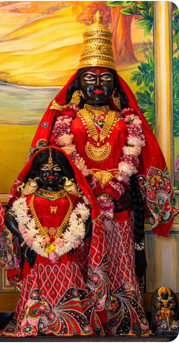Rukmini Jayanti