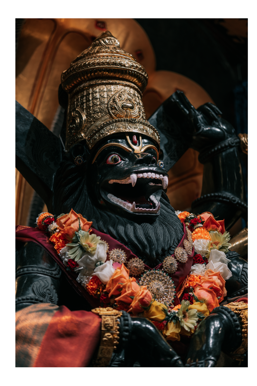 Paranitya Narasimha | Double Frame WD 4x6" 2B