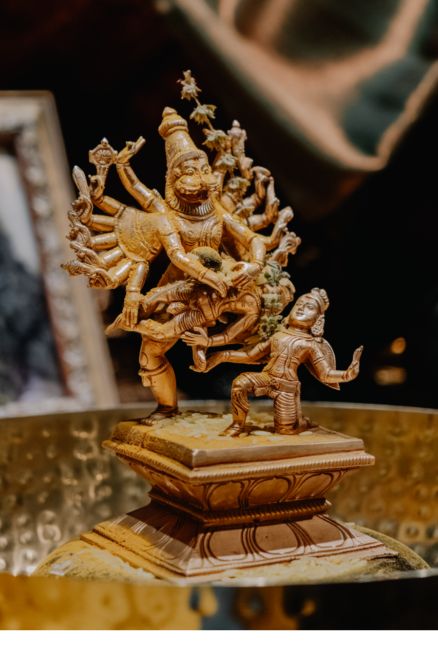 Paranitya Narasimha | Double Frame WD 4x6" 4W